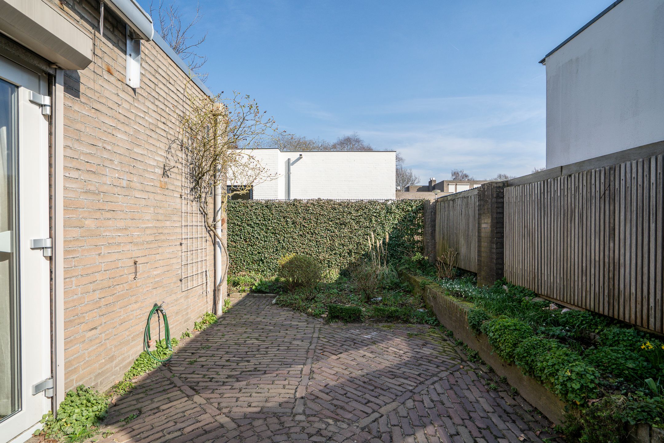 Foto 15 van Dieze 24