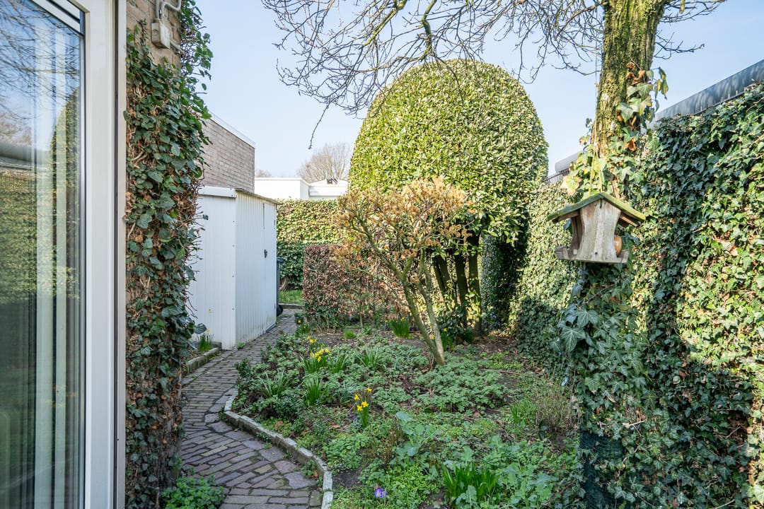 Foto 16 van Dieze 24