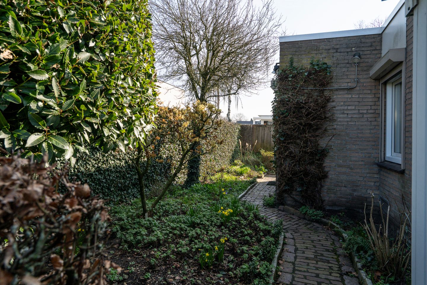 Foto 20 van Dieze 24