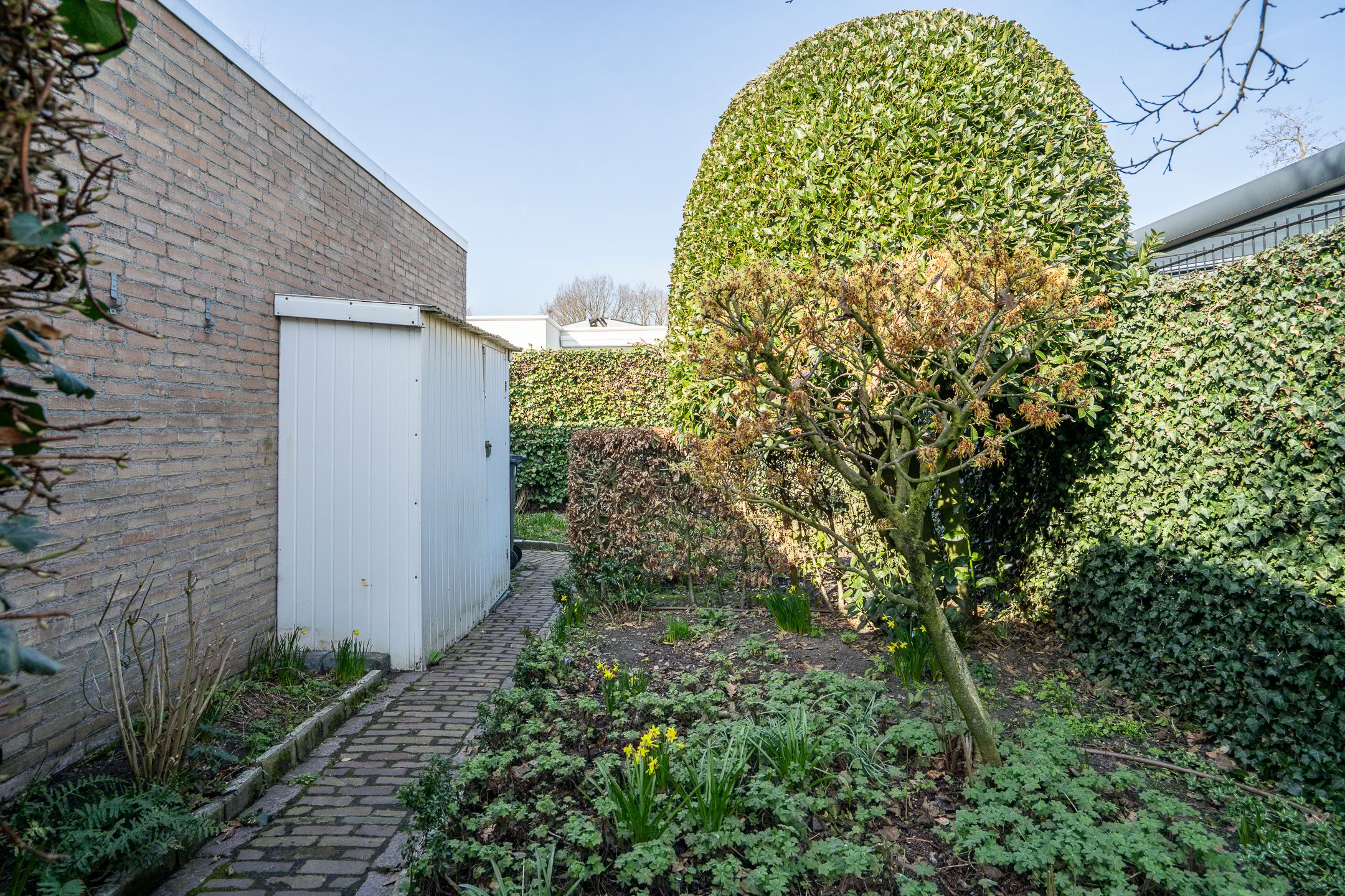 Foto 21 van Dieze 24