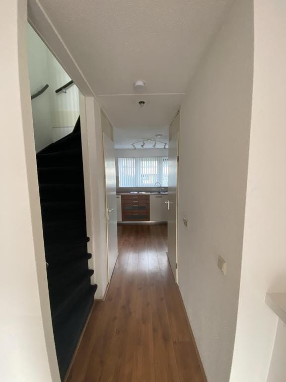 Photo 5 of Terschellingstraat 39