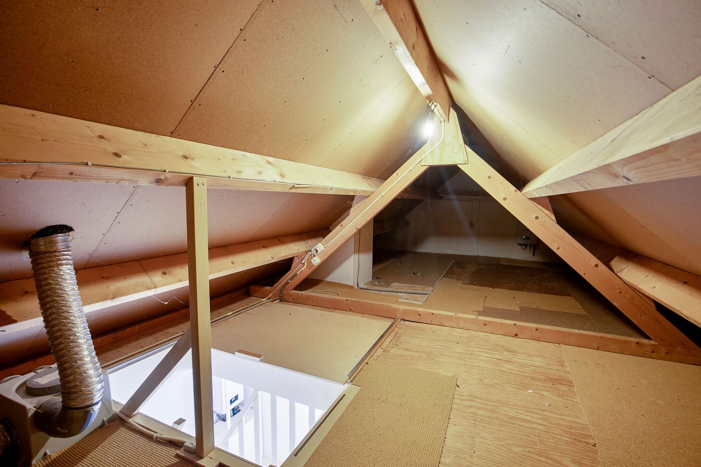 Foto 35 van Rozentuin 27