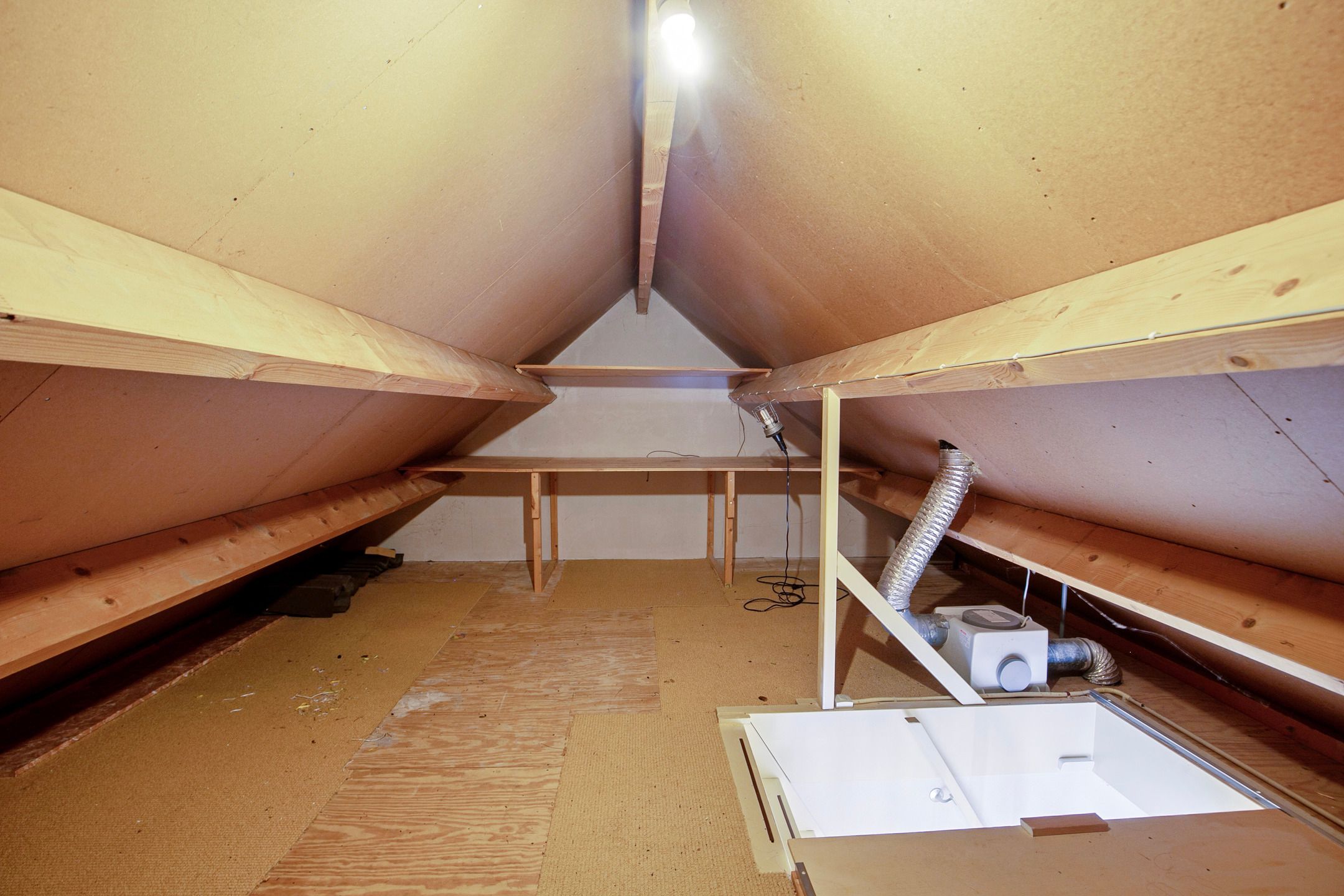 Foto 36 van Rozentuin 27