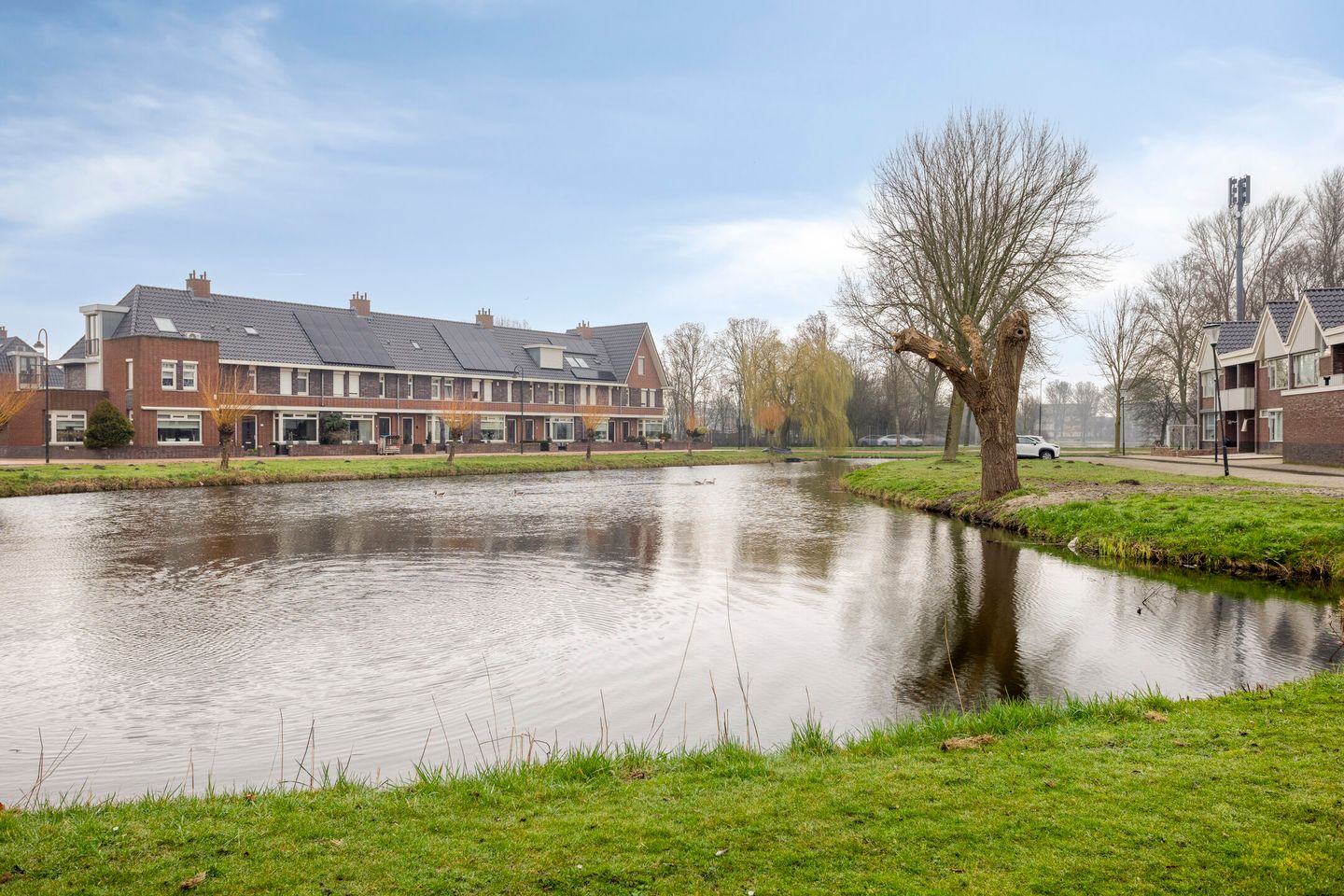 Foto 34 van De Cooghstraat 20