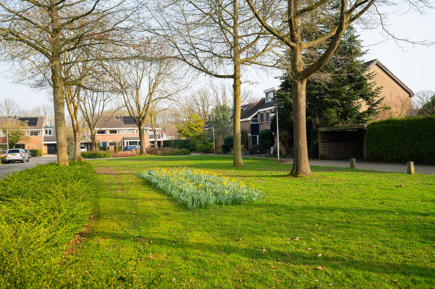 Photo 49 of Wittemerslag 31