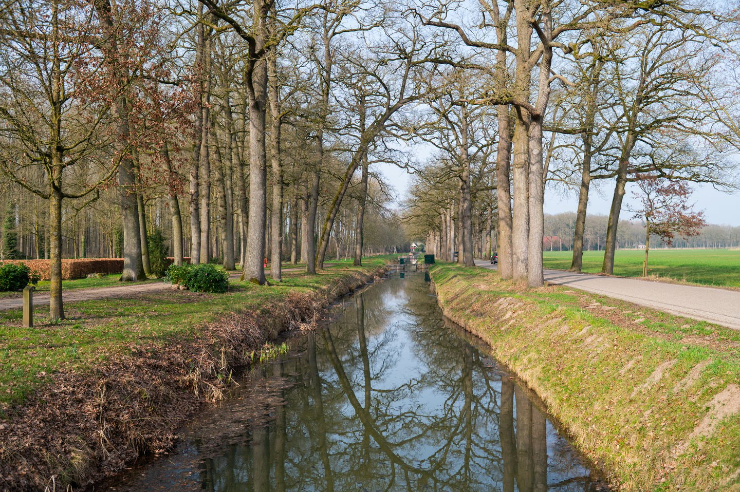 Photo 50 of Wittemerslag 31