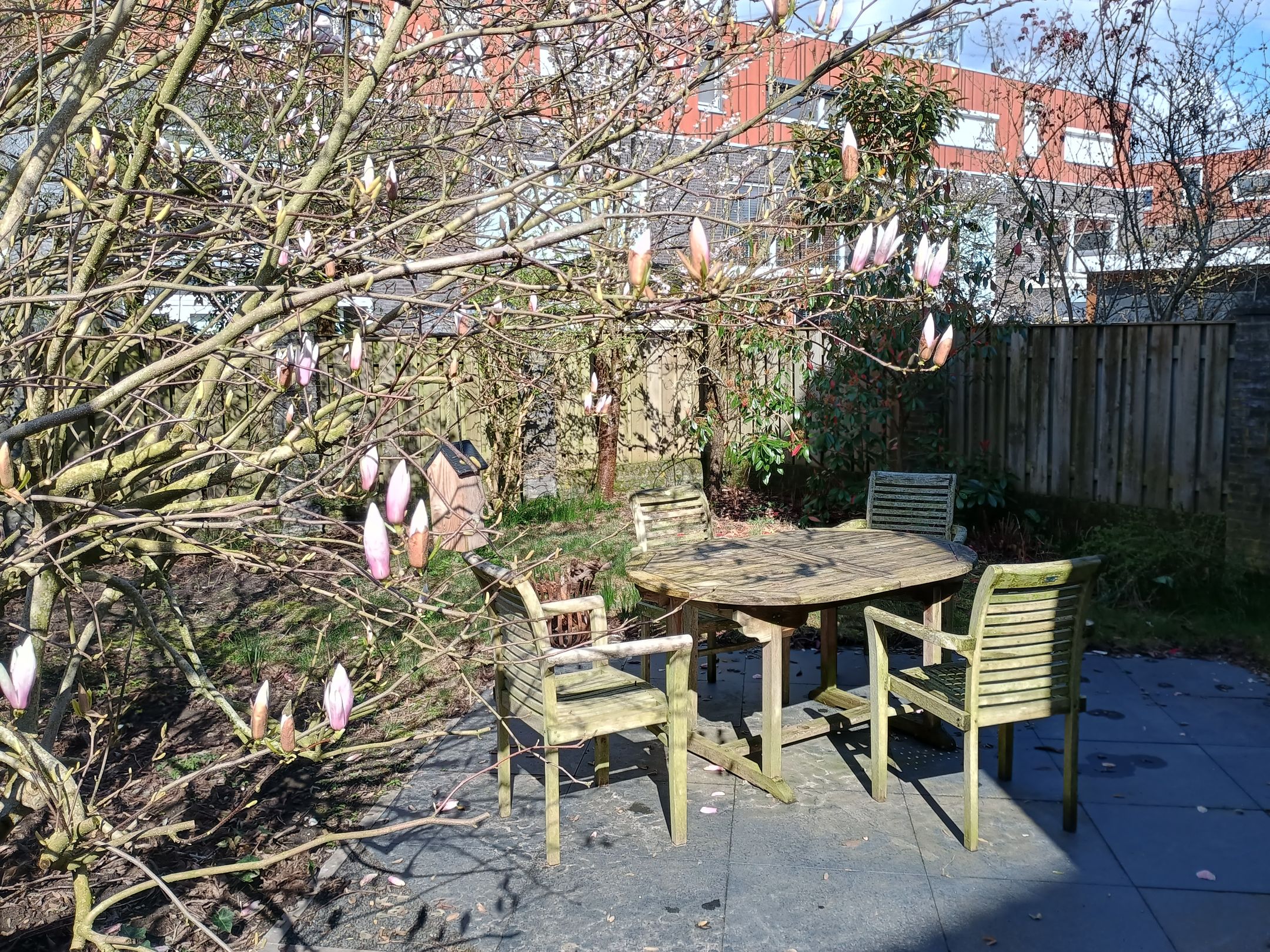 Foto 39 van Vlakeind 10