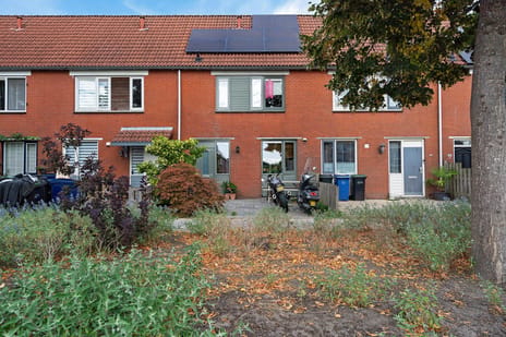 undefined main image