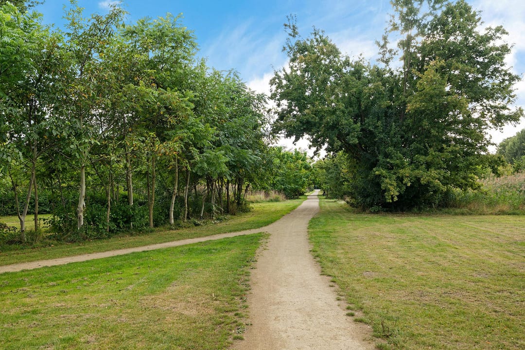 Foto 43 van Kreeftstraat 7