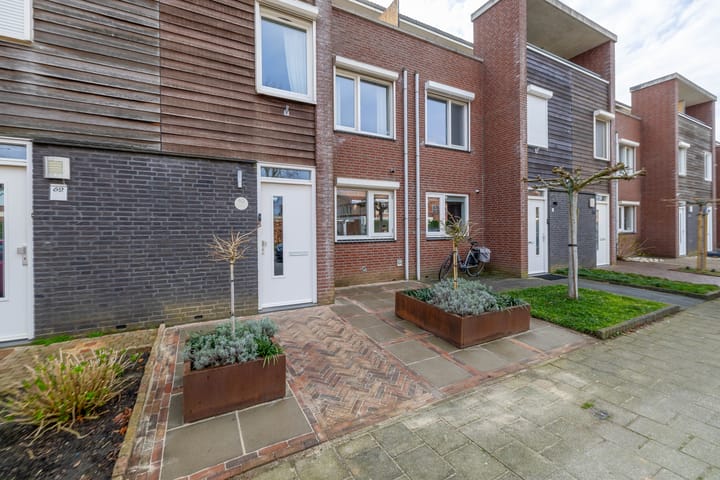 Foto 2 van Lisdodde 60