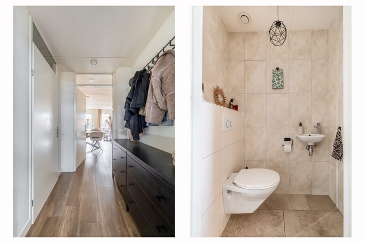 Foto 4 van Lisdodde 60