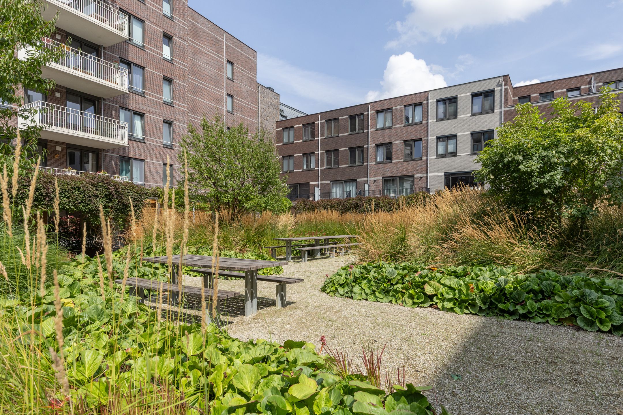 Foto 48 van Jongeneelwerf 10