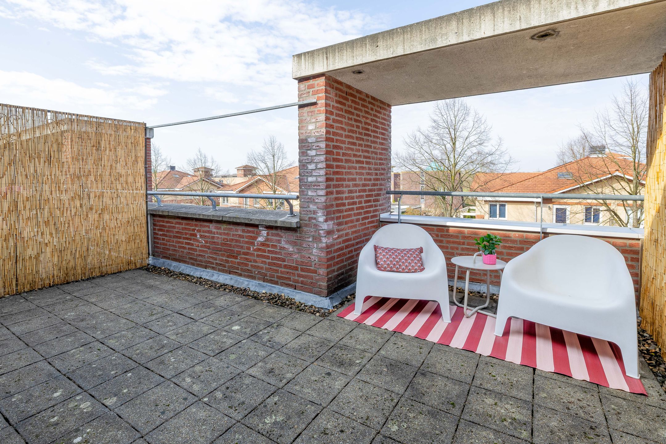 Photo 33 of Lisdodde 60