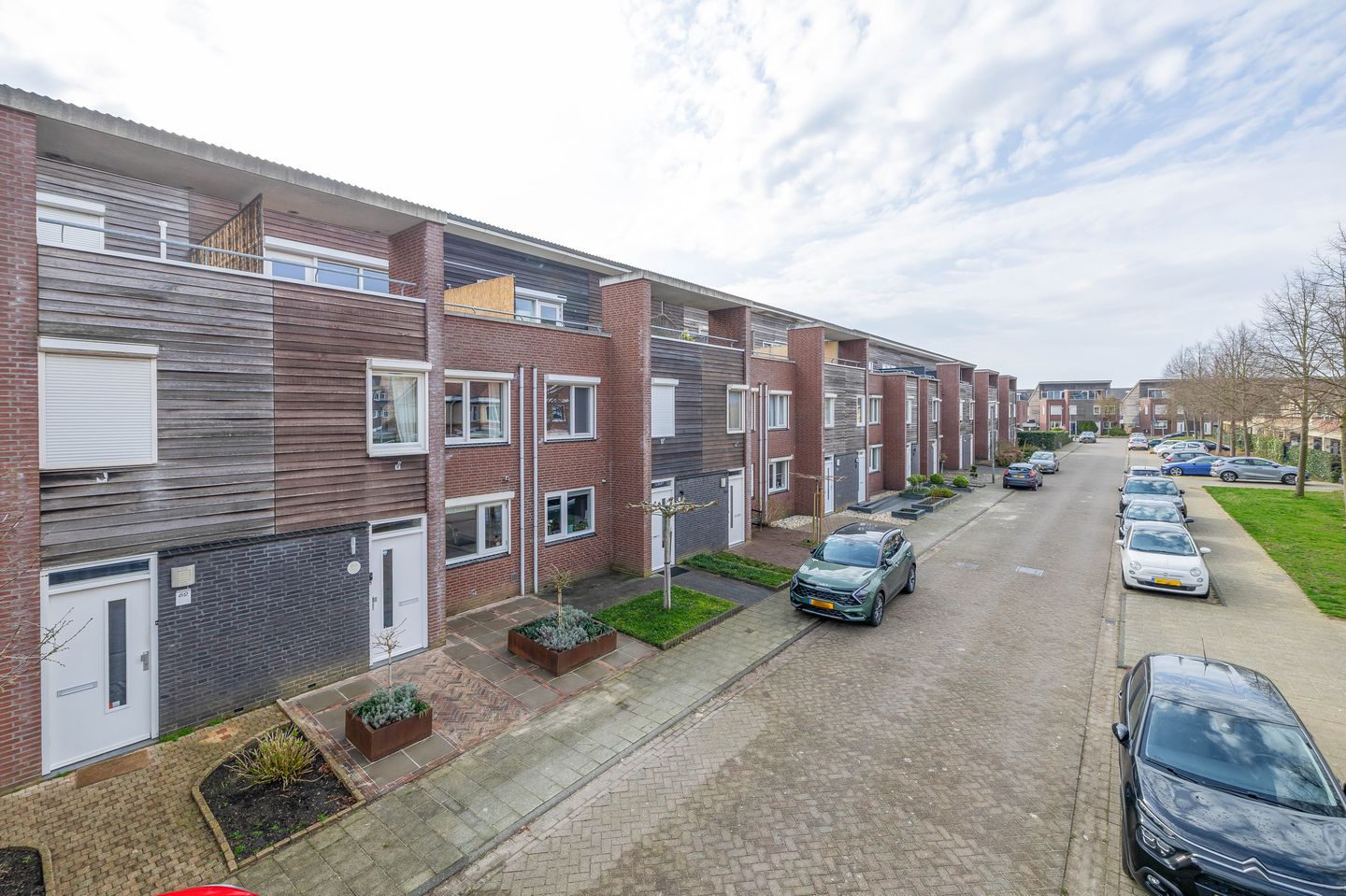 Photo 34 of Lisdodde 60