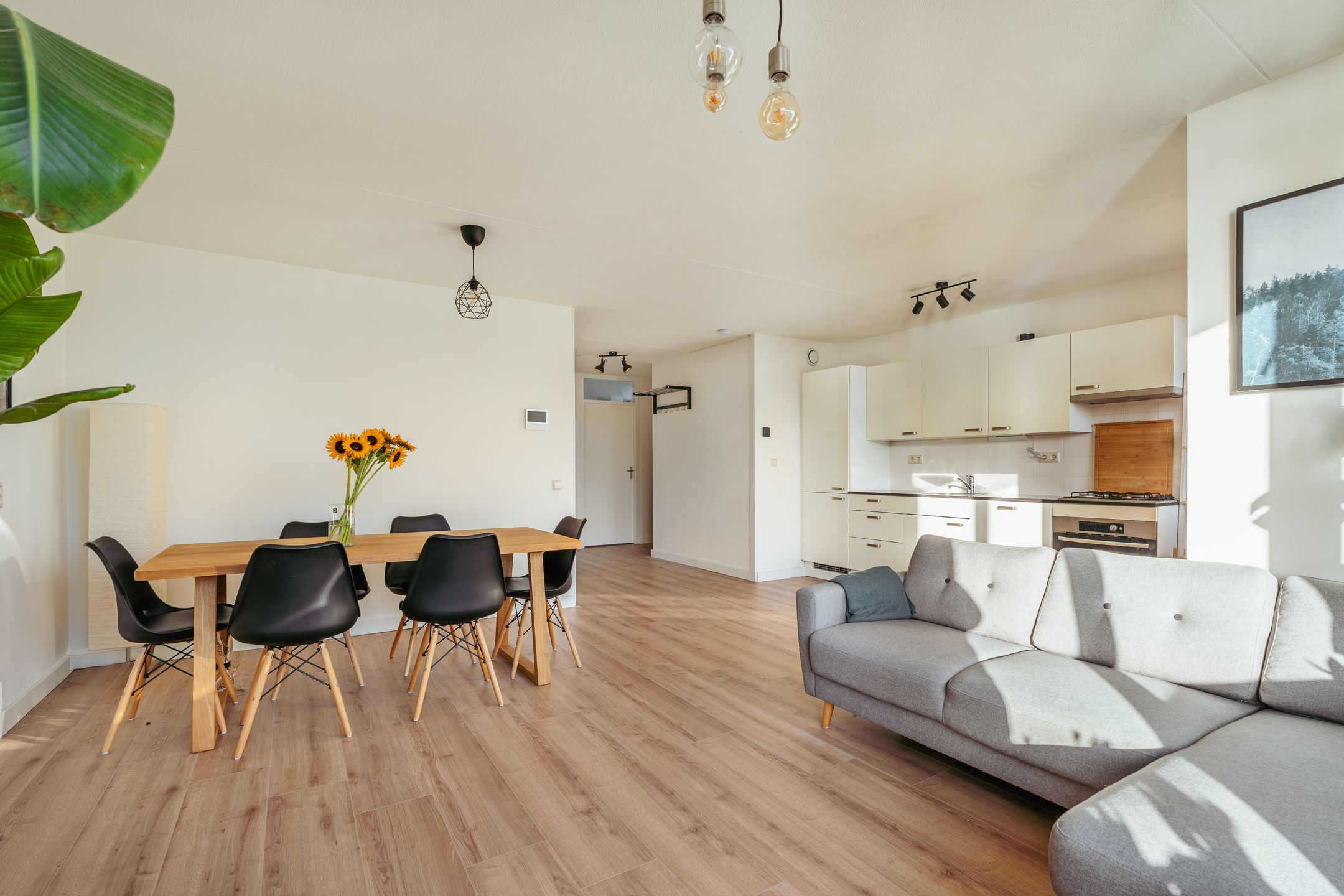 Photo 3 of Van Ostadestraat 209-D