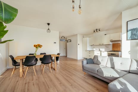 Van Ostadestraat 209-D tertiary image