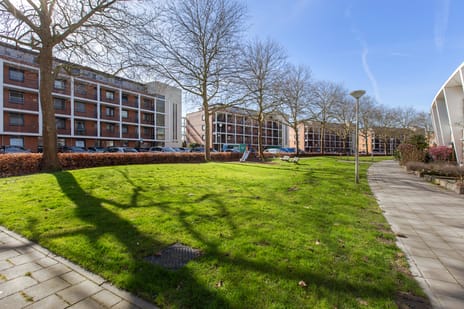 Polderpeil 61 secondary image