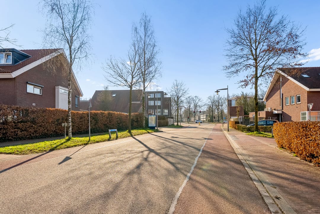 Photo 62 of Laarwoud 3