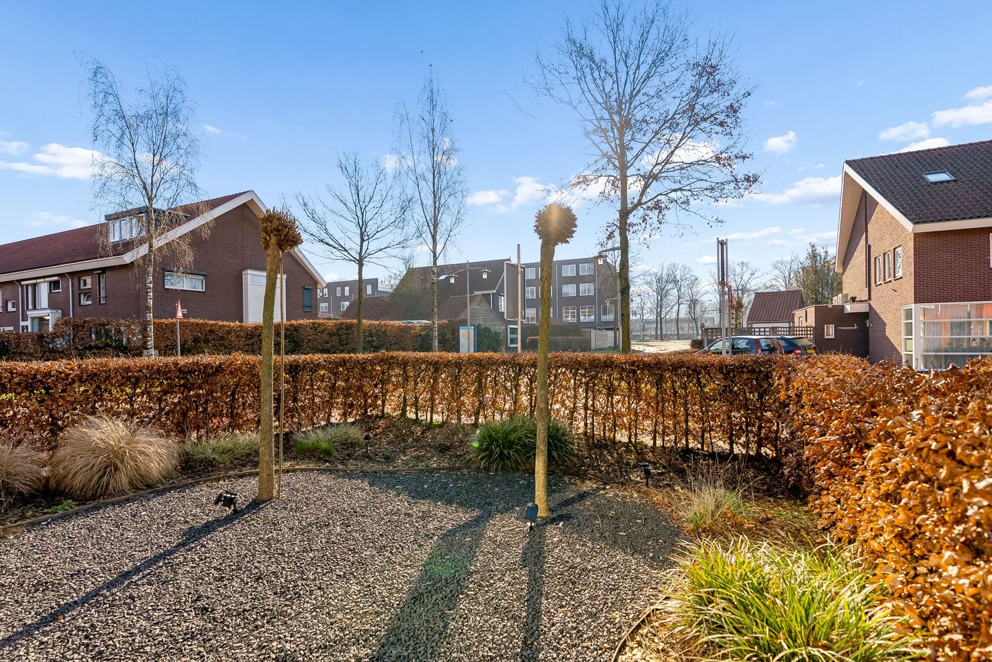 Photo 64 of Laarwoud 3