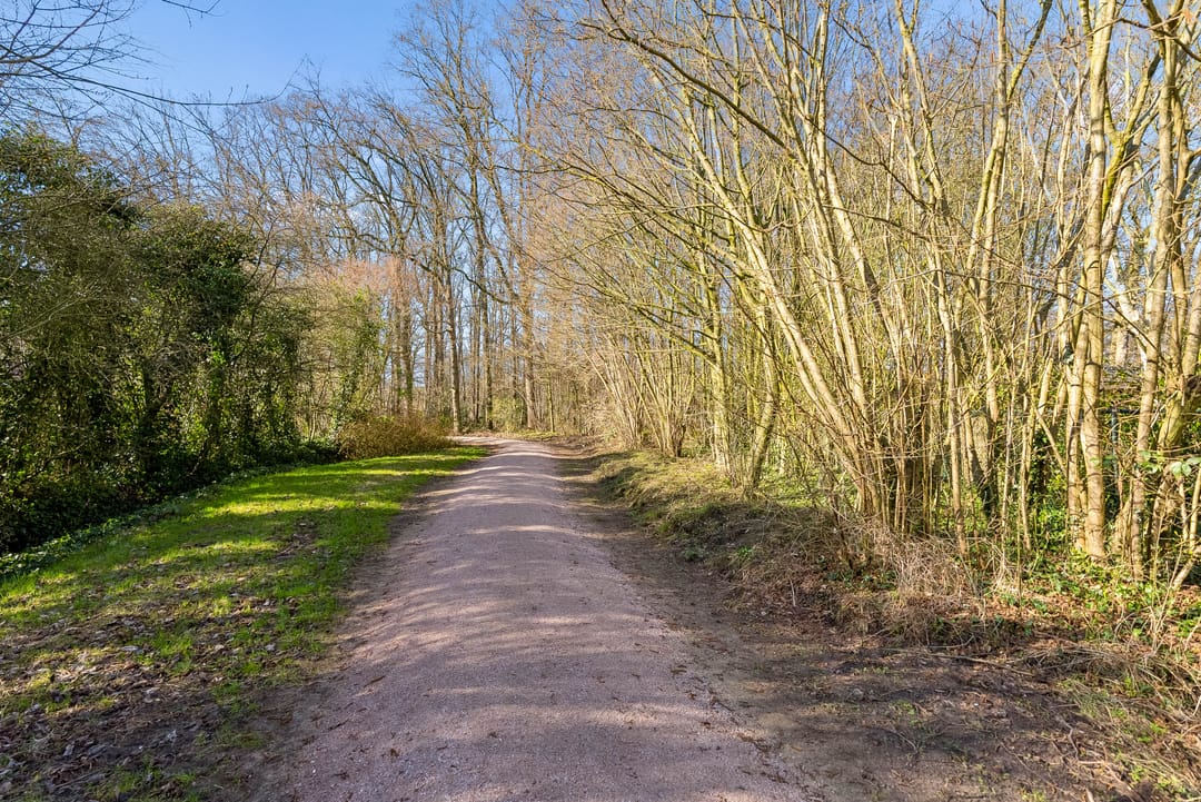 Photo 71 of Laarwoud 3