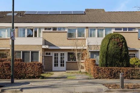 undefined main image