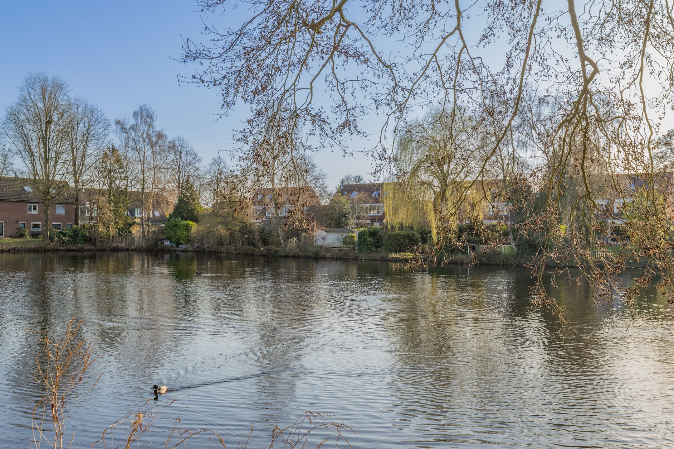 Spacious semi-detached home with pond view and garden in Soest — 37