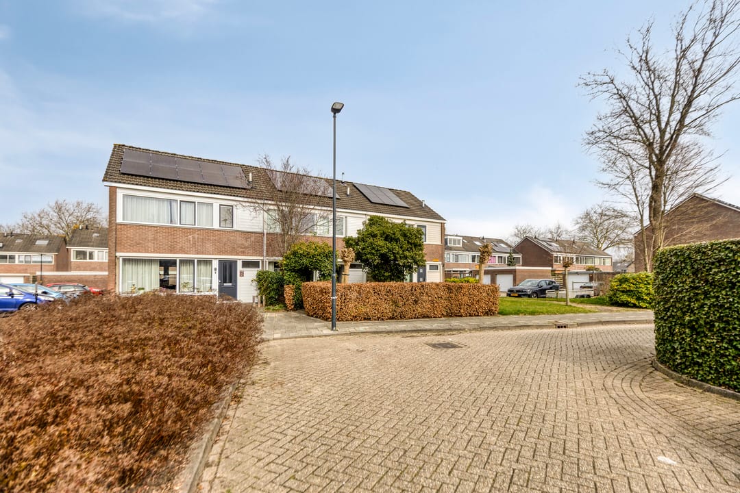 Photo 13 of Tjonger 111