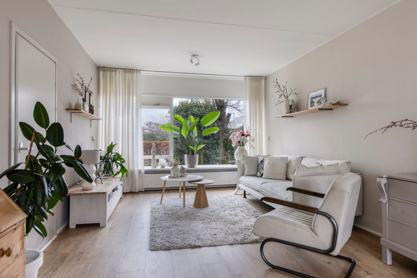 Photo 25 of Tjonger 111