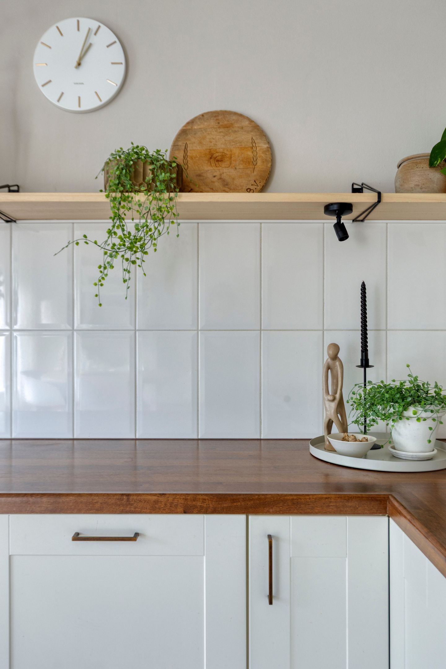 Photo 36 of Tjonger 111