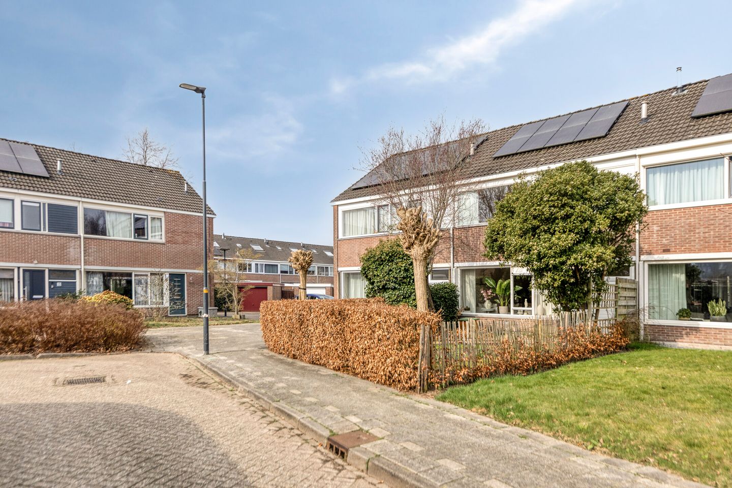 Photo 14 of Tjonger 111