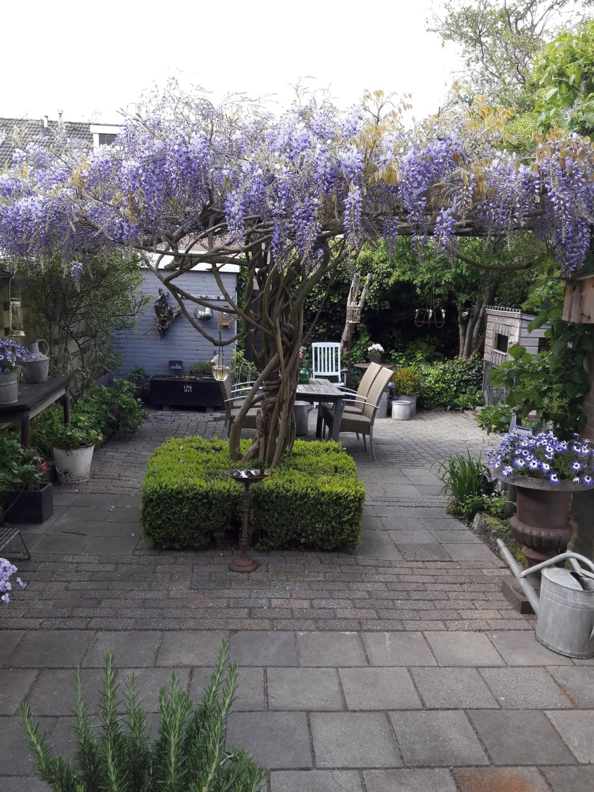 Foto 49 van Tjonger 111