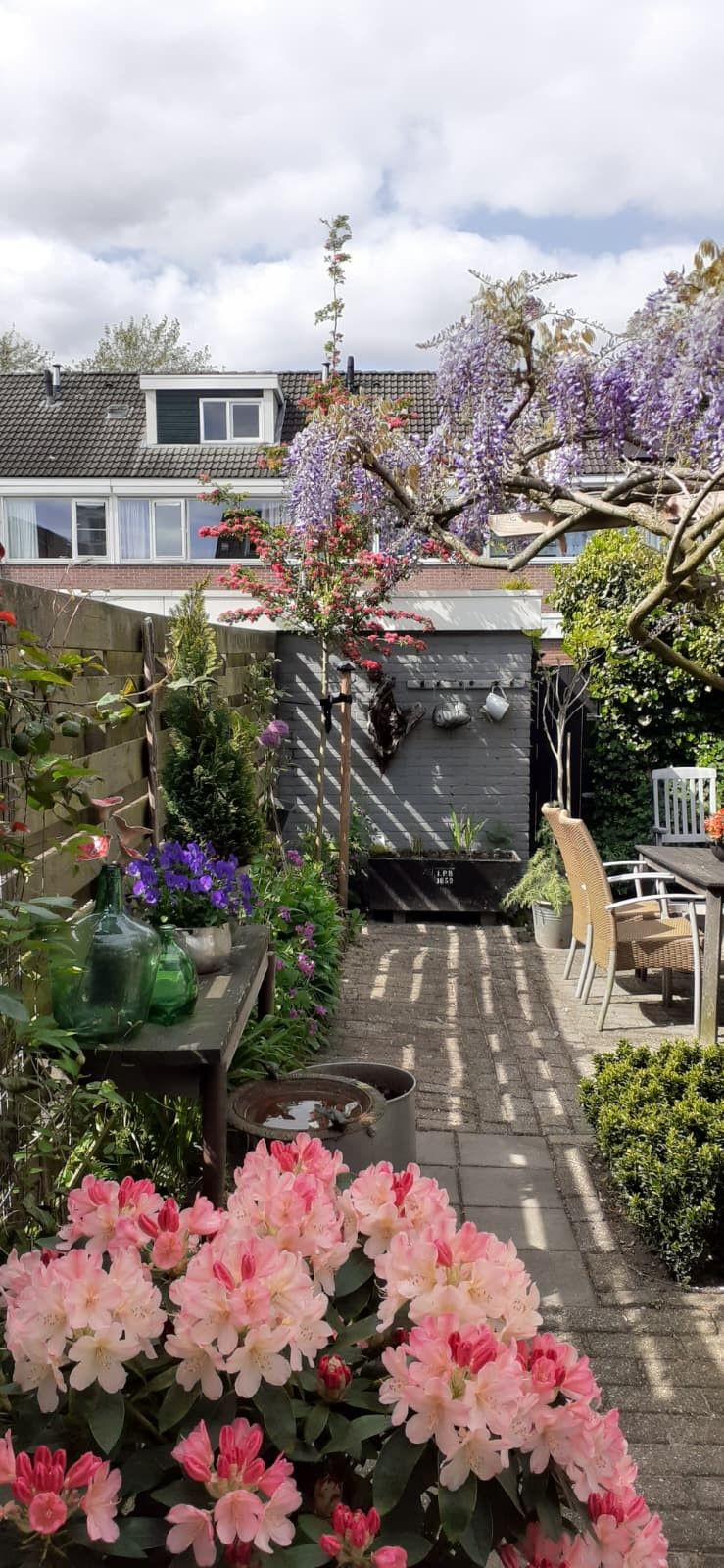 Photo 57 of Tjonger 111