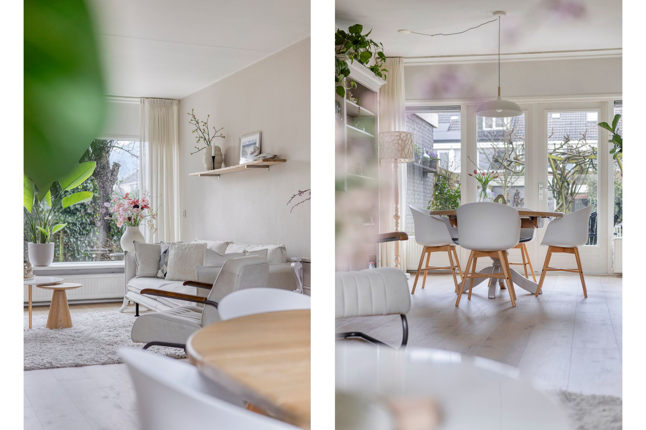 Photo 6 of Tjonger 111