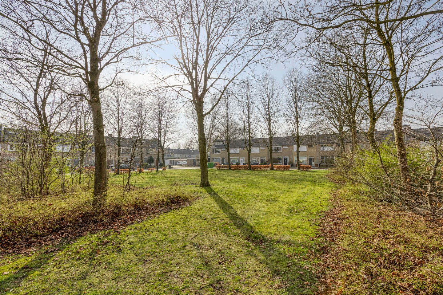 Photo 55 of Duinhof 13