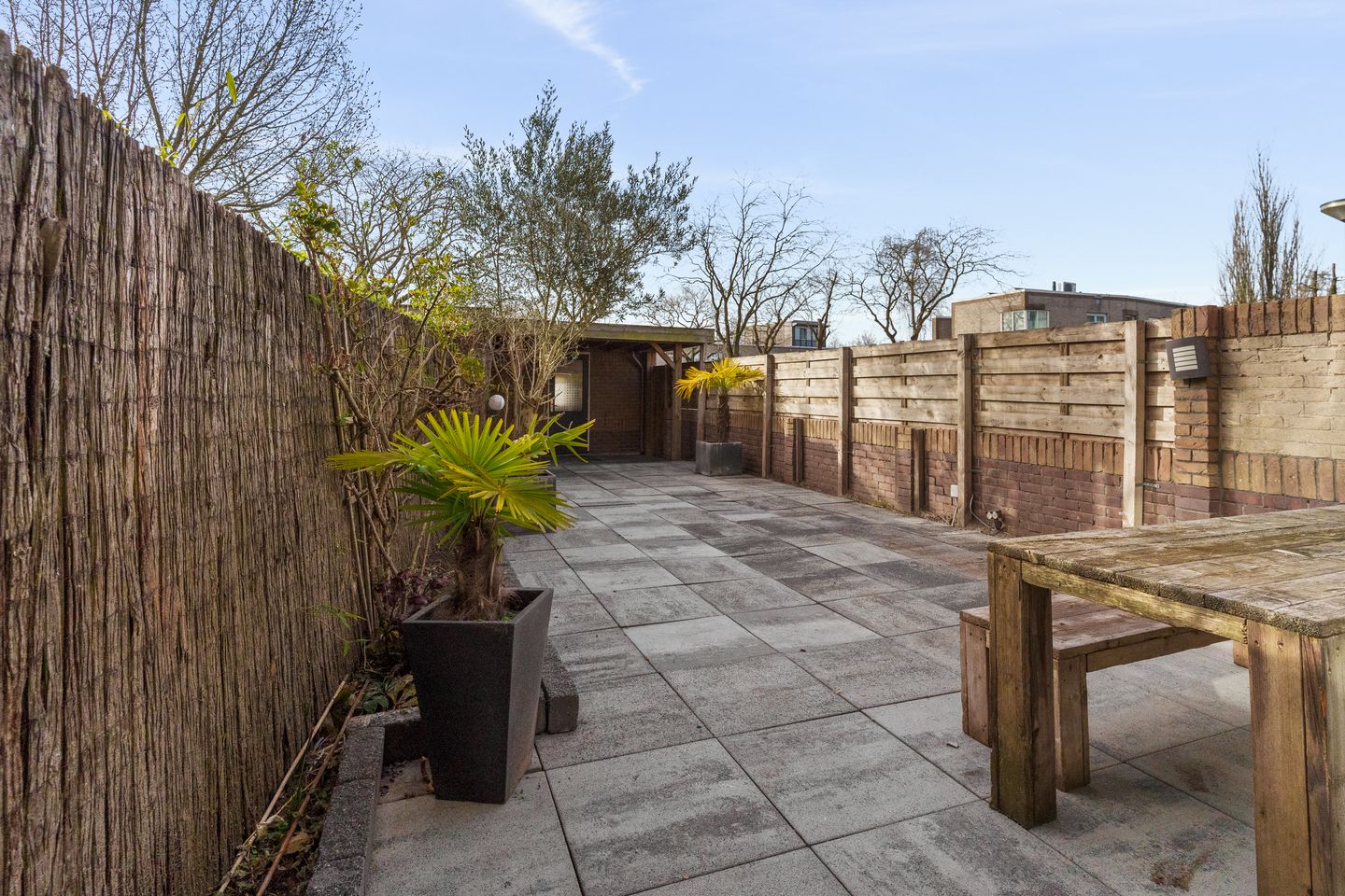 Foto 4 van Atlasvlinder 74