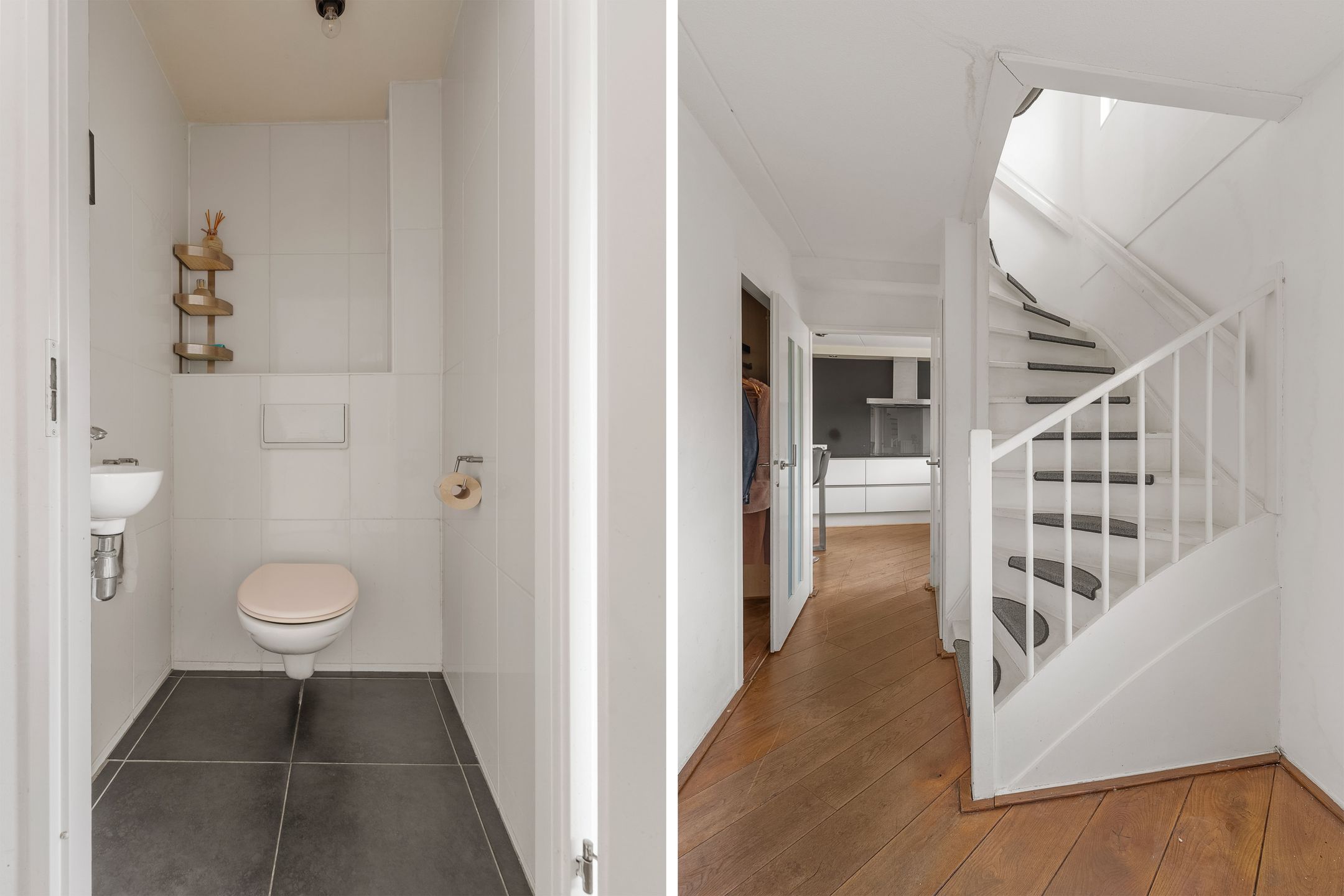 Foto 6 van Atlasvlinder 74