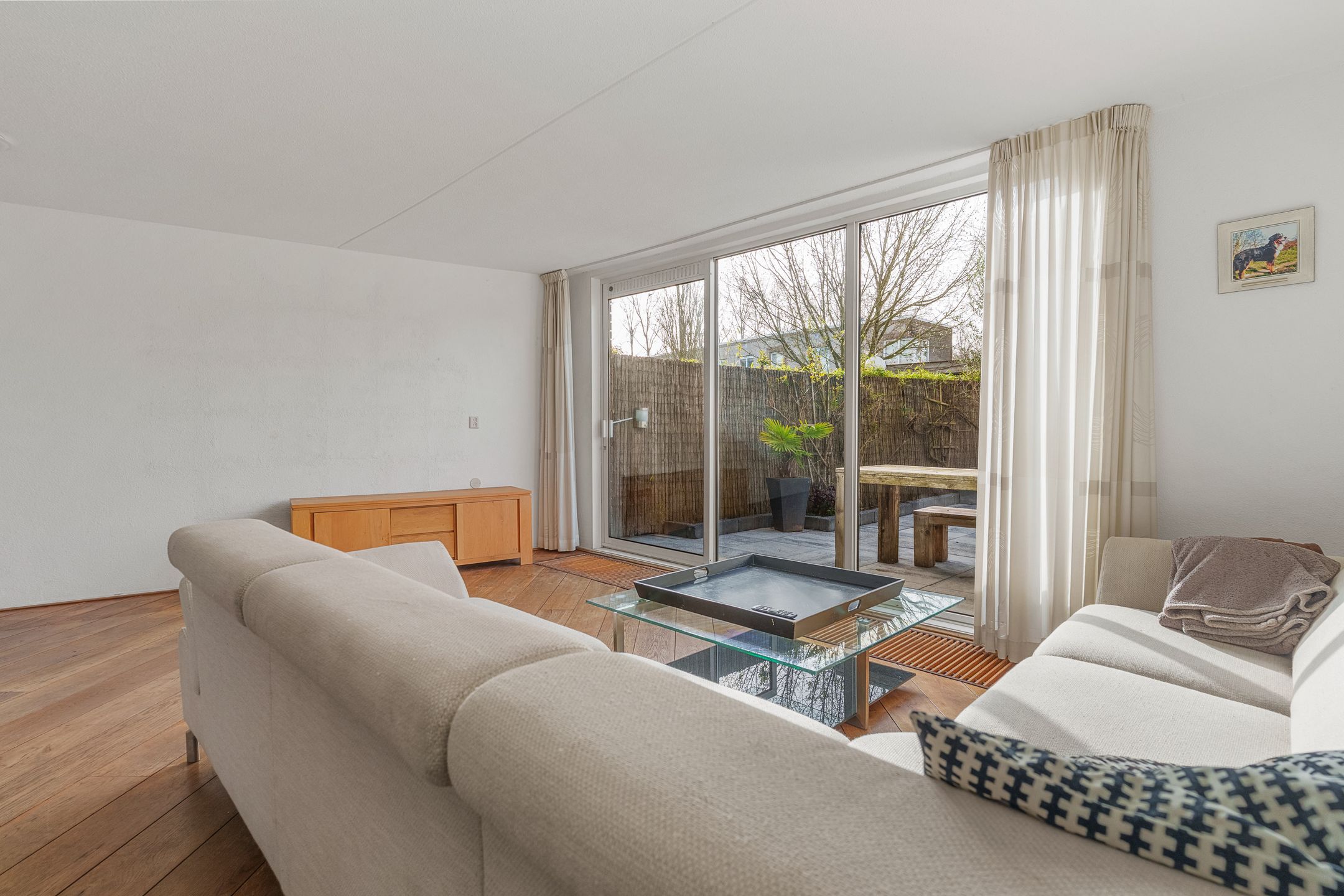 Foto 9 van Atlasvlinder 74