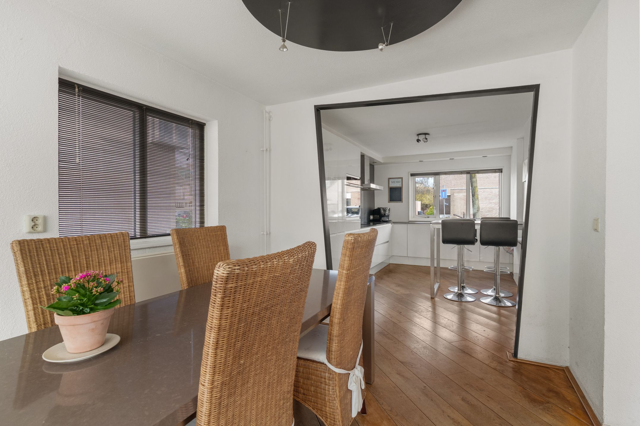 Foto 12 van Atlasvlinder 74