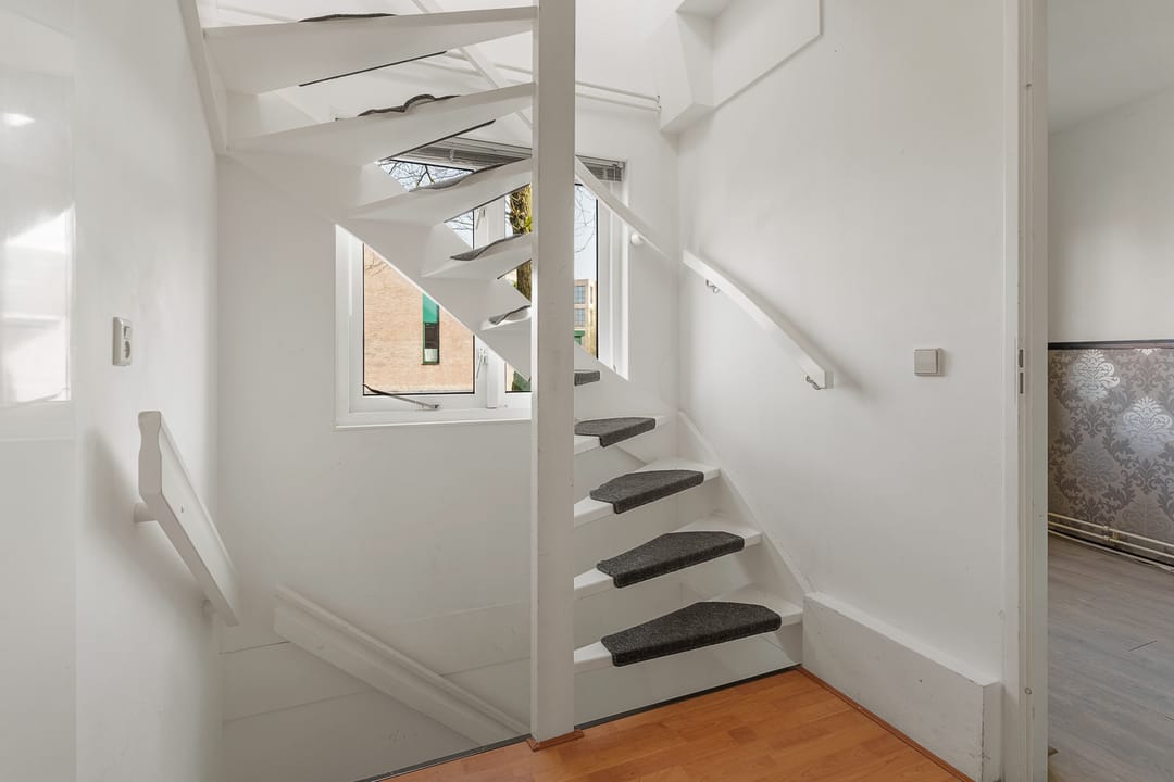 Foto 16 van Atlasvlinder 74