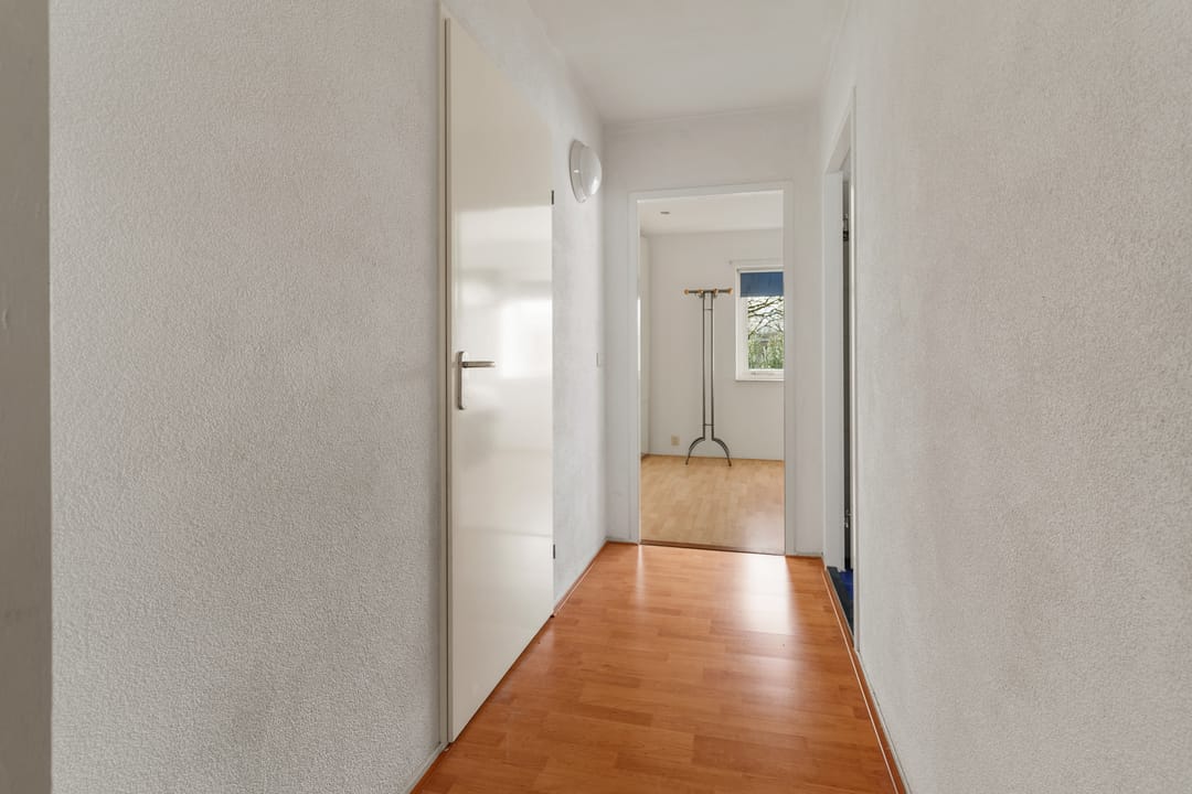 Foto 17 van Atlasvlinder 74