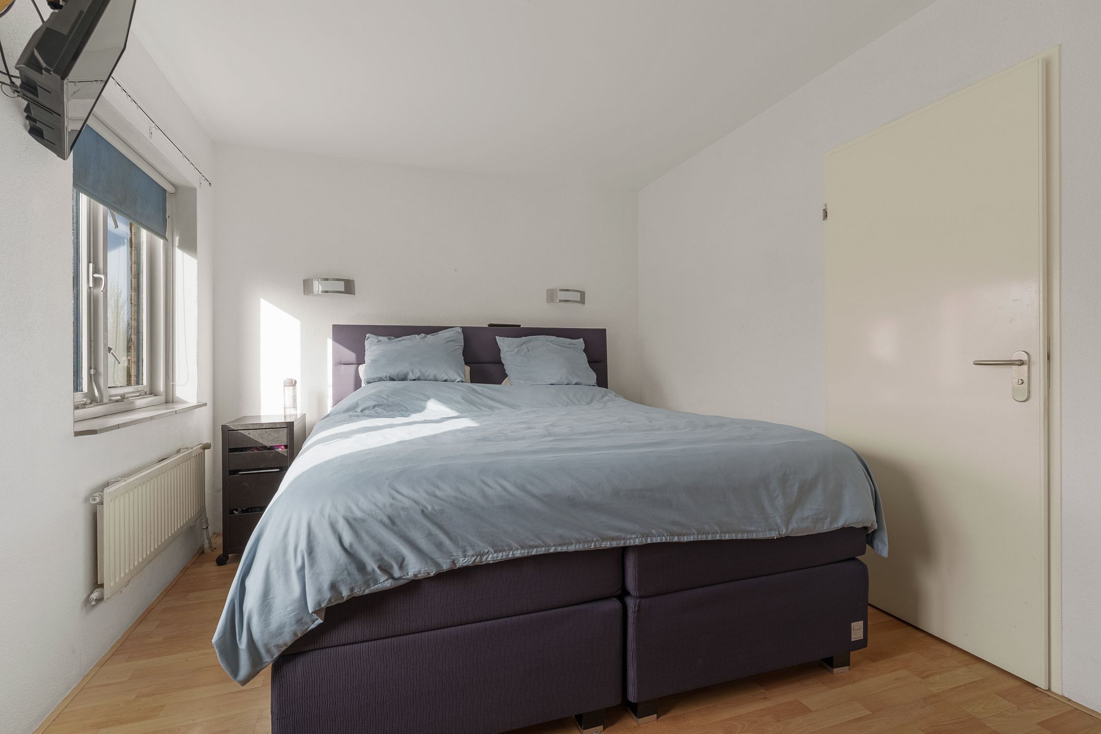 Foto 18 van Atlasvlinder 74