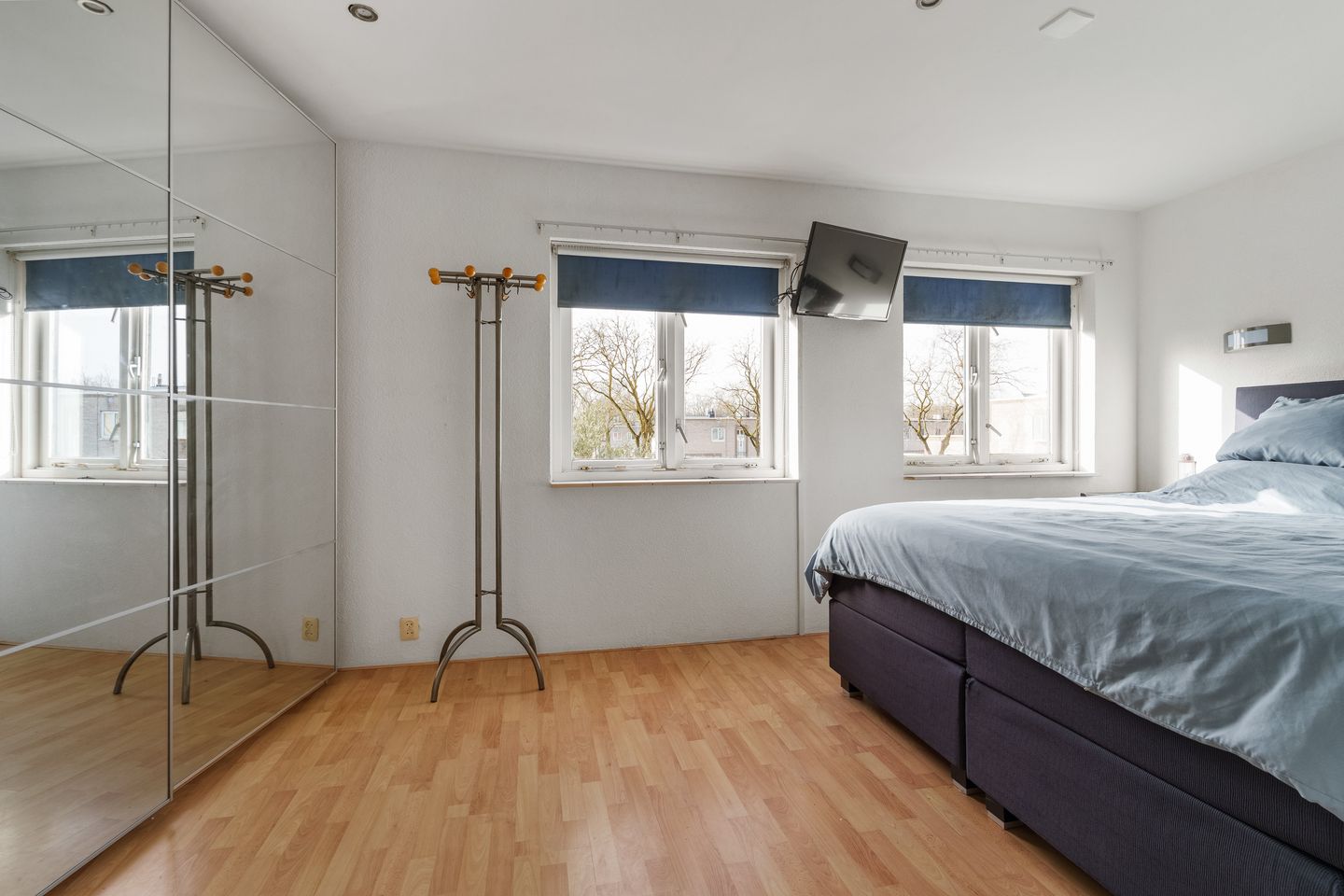 Foto 19 van Atlasvlinder 74