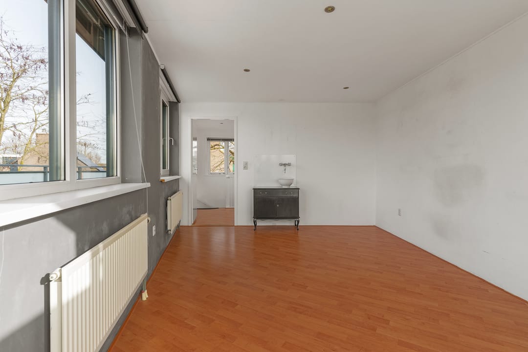 Foto 31 van Atlasvlinder 74