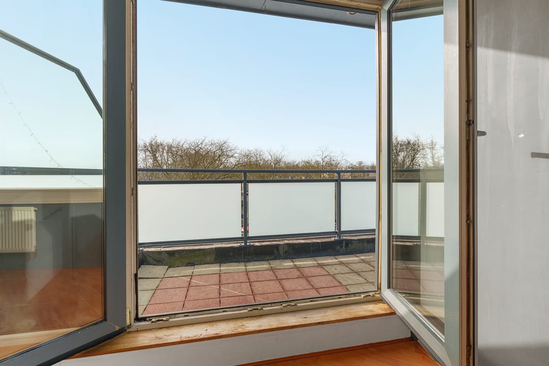 Foto 32 van Atlasvlinder 74