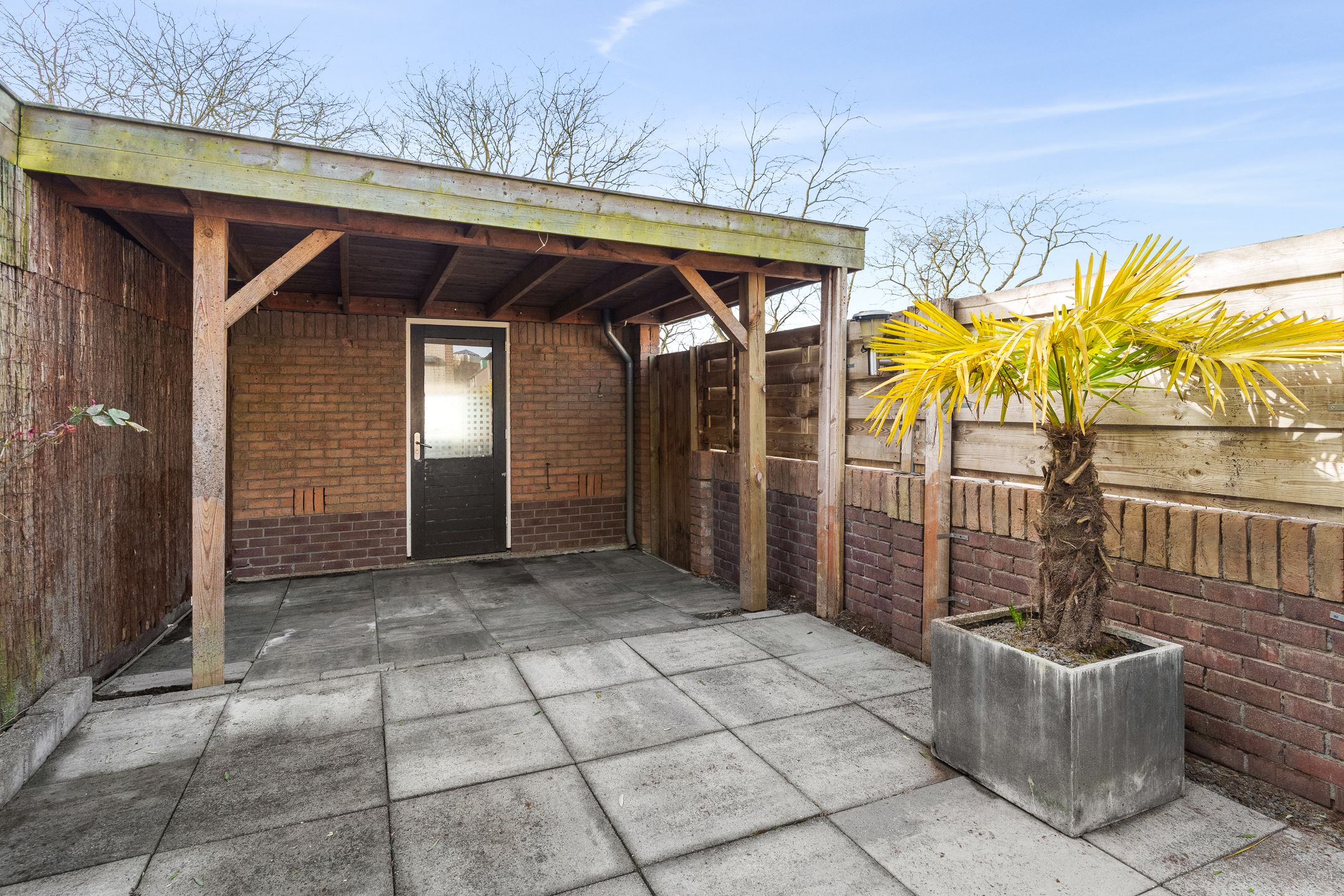 Foto 36 van Atlasvlinder 74