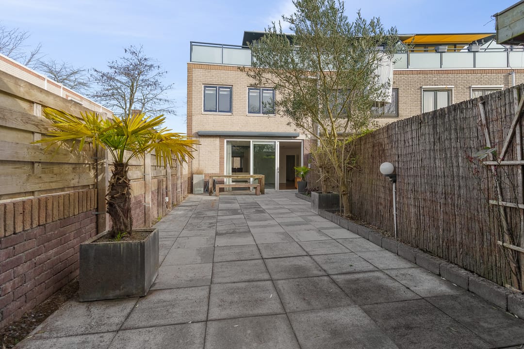 Foto 37 van Atlasvlinder 74