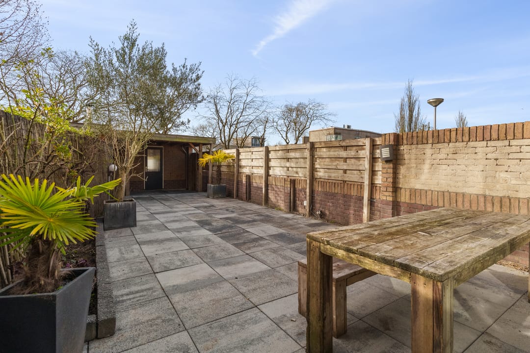 Foto 38 van Atlasvlinder 74