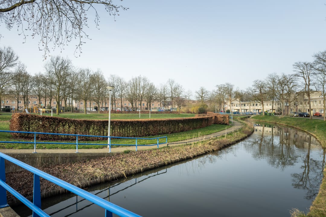 Foto 41 van Atlasvlinder 74