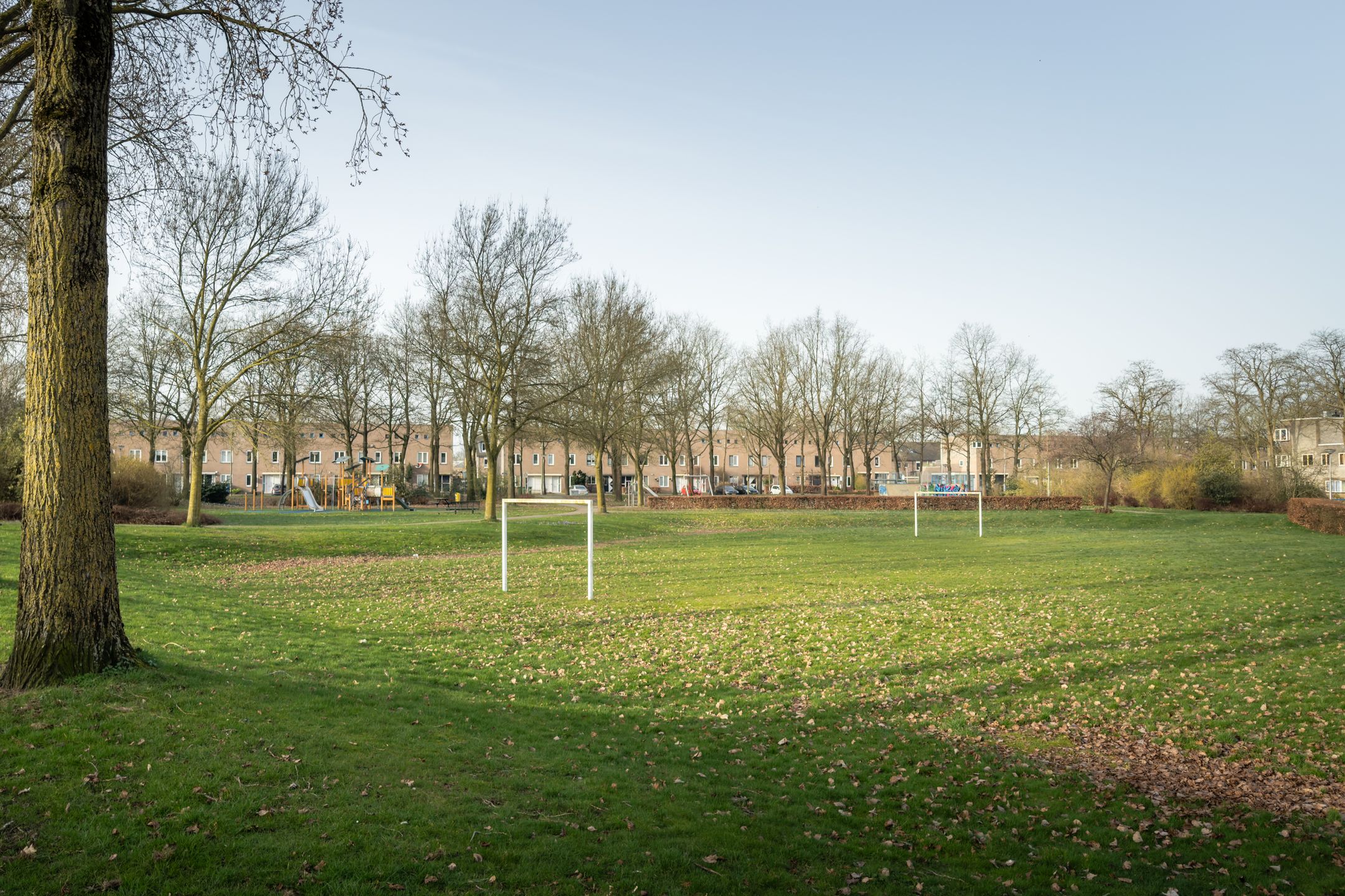 Foto 42 van Atlasvlinder 74