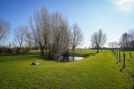 Bommelweg 1 tertiary image